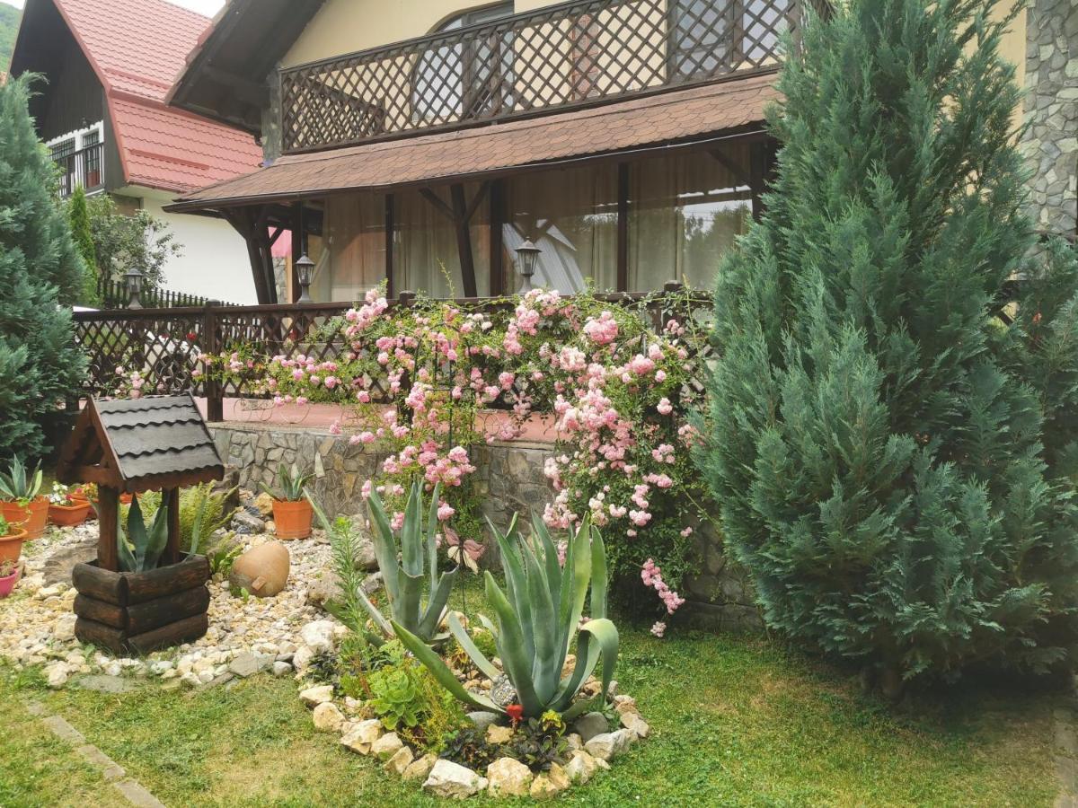 Villa Casa Veveritelor Bran (Brasov)