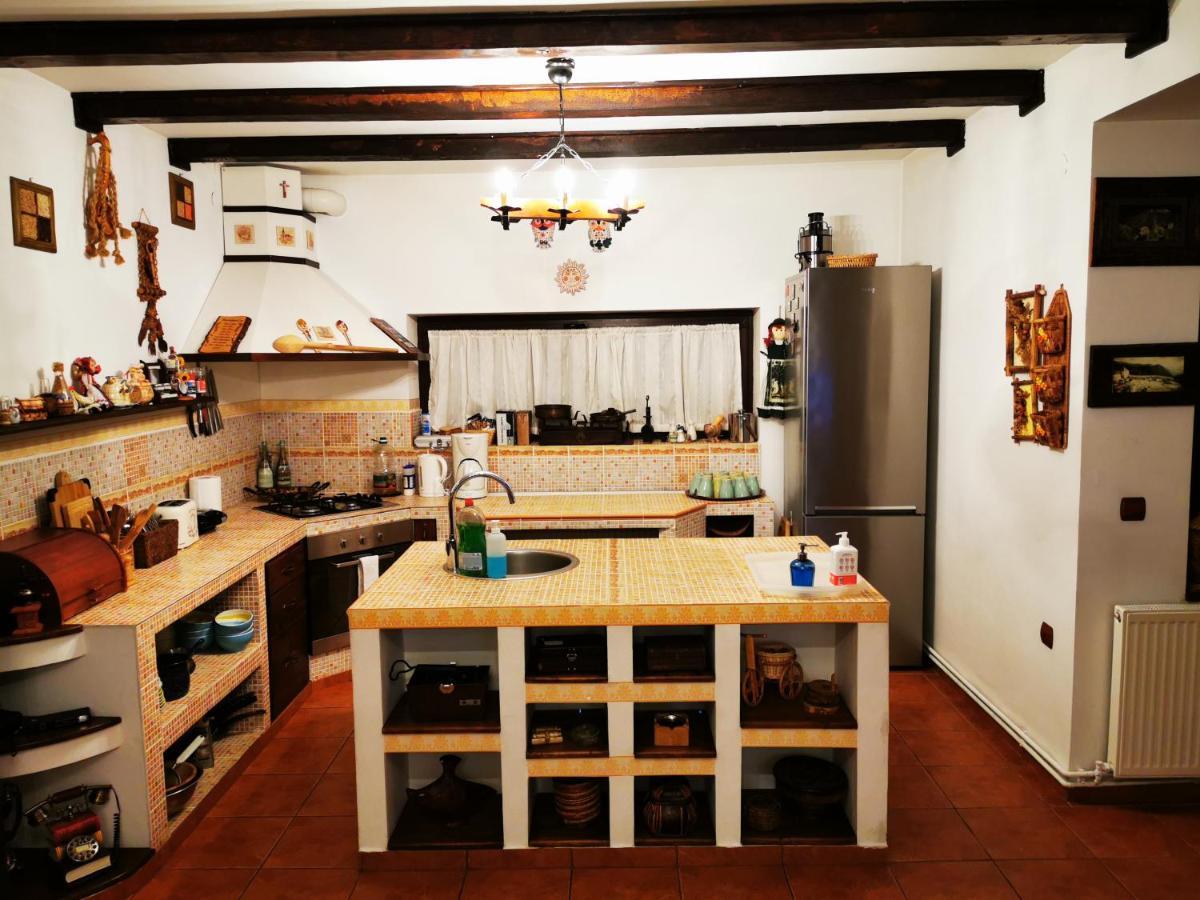 Casa Veveritelor Villa *
