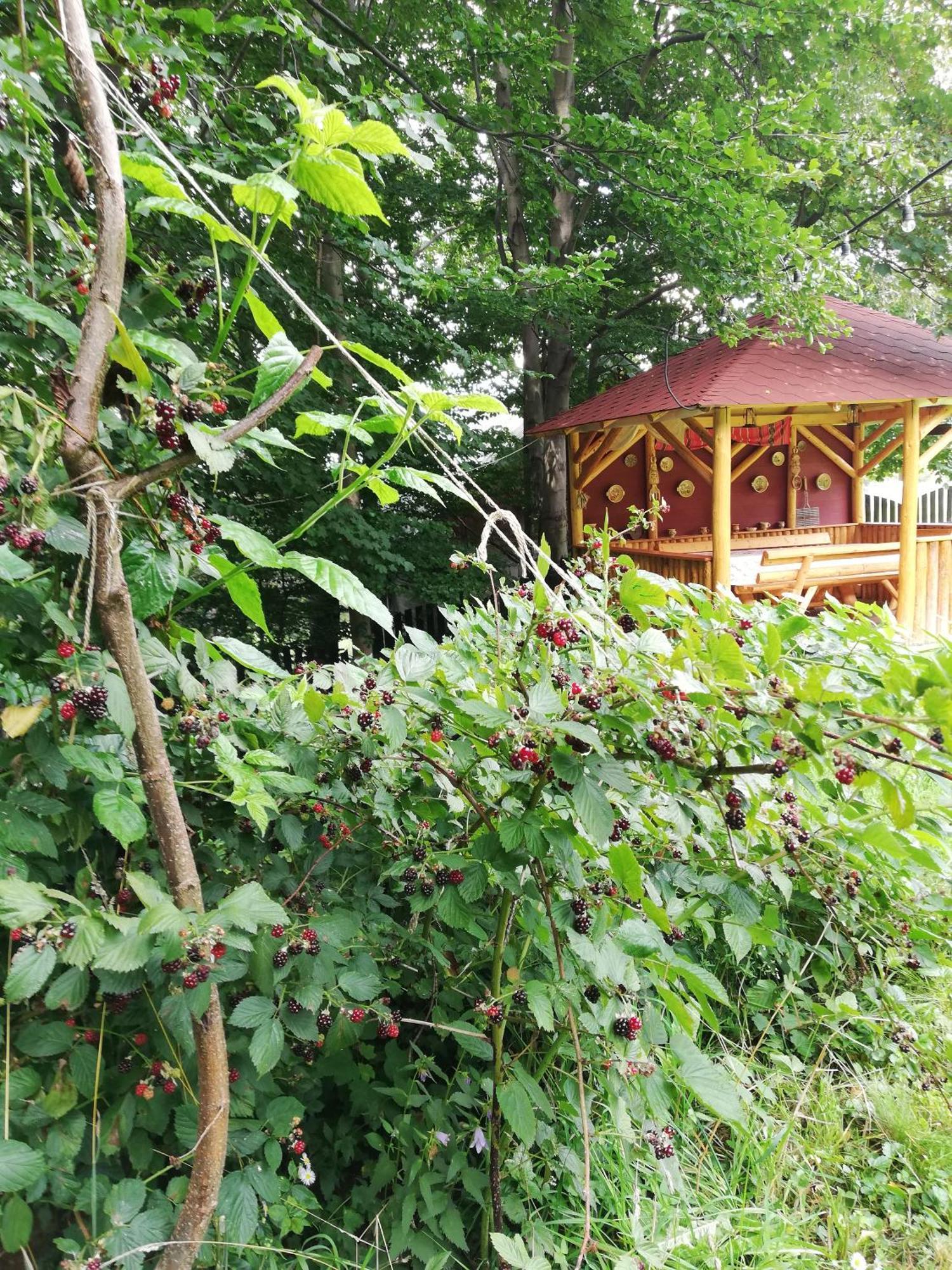 Villa Casa Veveritelor *