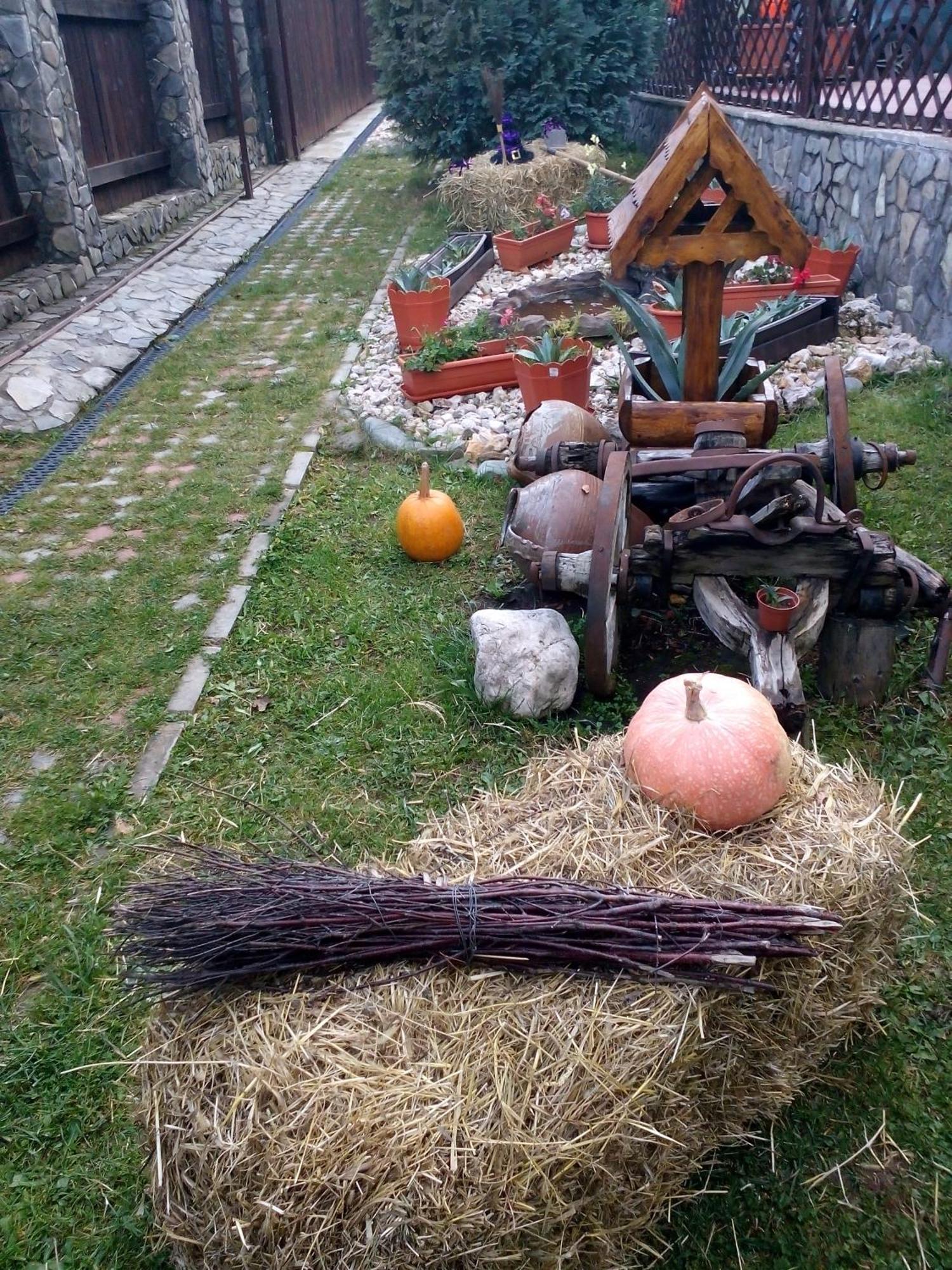 Villa Casa Veveritelor Bran (Brasov)
