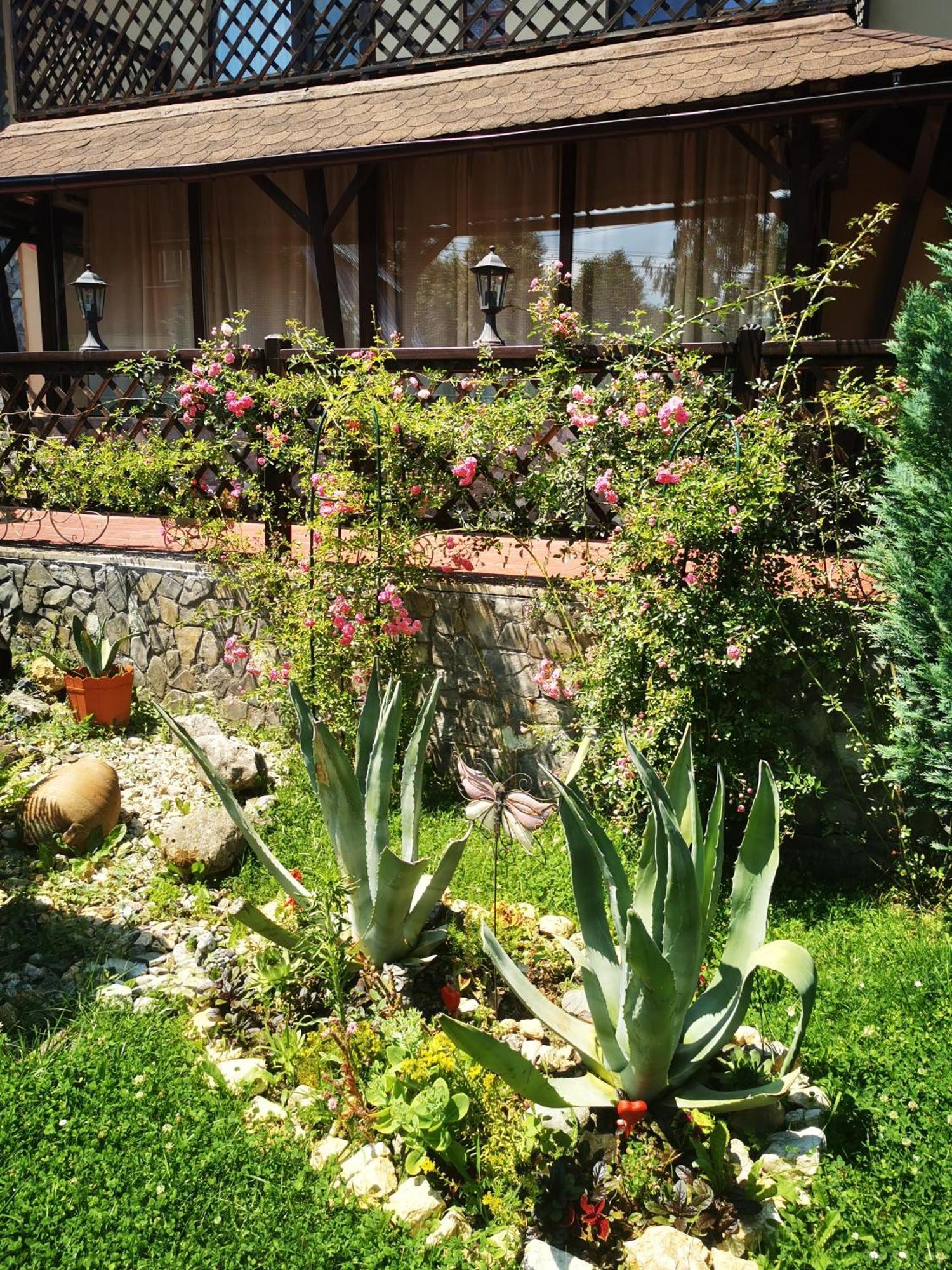 Casa Veveritelor *